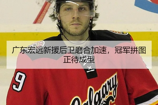 广东宏远新援后卫磨合加速，冠军拼图正待成型