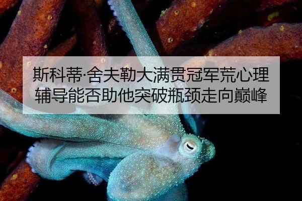 si-ke-di-she-fu-lei-da-man-guan-guan-jun-huang-xin-li-fu-dao-neng-fou-zhu-ta-tu-po-ping-jing-zou-xiang-dian-feng-2-311.jpg