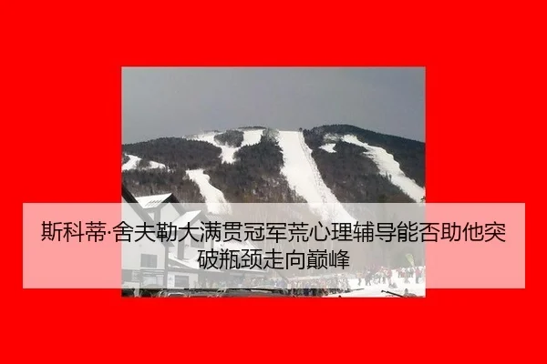斯科蒂·舍夫勒大满贯冠军荒心理辅导能否助他突破瓶颈走向巅峰