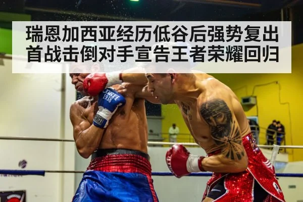 boxer knockout punch