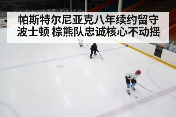 ice hockey rink