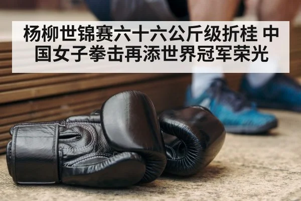 杨柳世锦赛六十六公斤级折桂 中国女子拳击再添世界冠军荣光