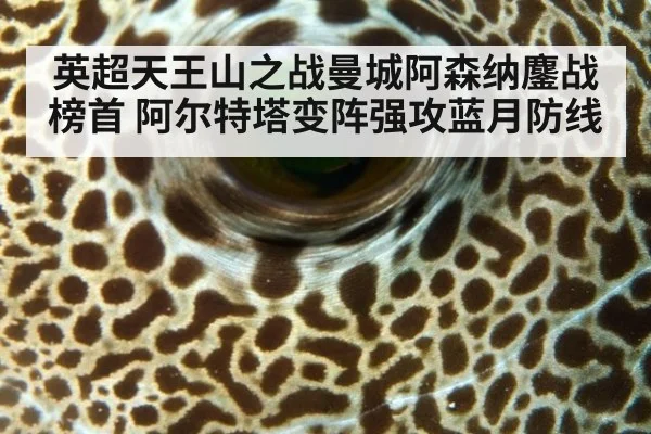英超天王山之战曼城阿森纳鏖战榜首 阿尔特塔变阵强攻蓝月防线